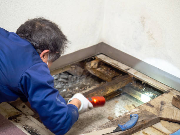 Best Water Damage Restoration  in Colleyville, TX