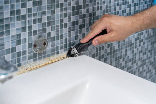 Best Mold Removal Near Me  in Colleyville, TX