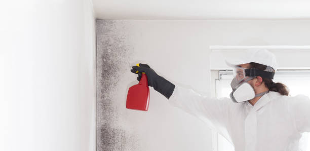  Colleyville, TX Mold Removal Pros