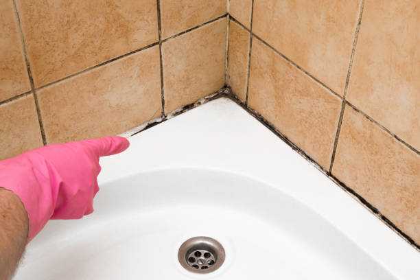 Best Mold Remediation Services  in Colleyville, TX